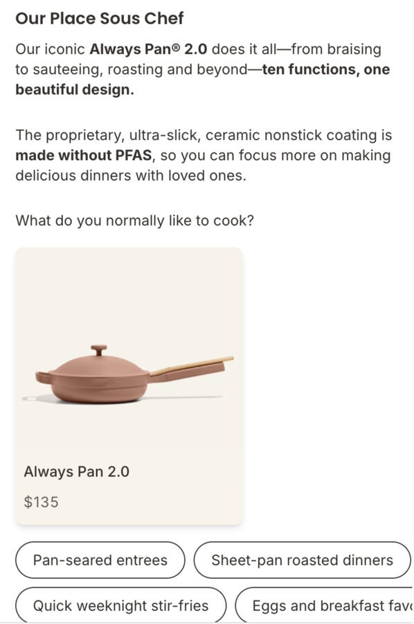 Copy for Our Place's custom AI sales assistant (Envive)